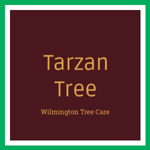 Tarzan Tree Logo