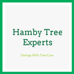 Hamby Tree Experts Logo