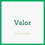 Valor Logo