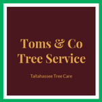 Toms &amp; Co Tree Service Logo