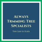 Always Trmming Tree Spcialists Logo