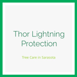 Thor Lightning Protection Logo