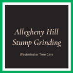 Allegheny Hill Stump Grinding Logo