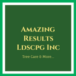 Amazing Results Ldscpg Inc Logo