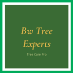 Bw Tree Experts Logo