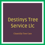 Destinys Tree Service Llc Logo