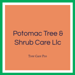 Potomac Tree & Shrub Care Llc Logo