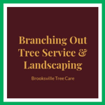 Branching Out Tree Service & Landscaping Logo