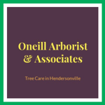 Oneill Arborist &amp; Associates Logo