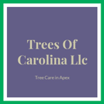Trees Of Carolina Llc Logo
