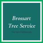 Brossart Tree Service Logo