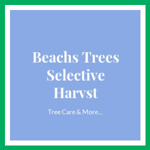 Beachs Trees Selective Harvst Logo
