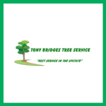 Tony Bridges Tree Service Logo