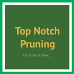 Top Notch Pruning Logo