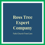 Ross Tree Expert Company Logo