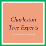 Charleston Tree Experts Logo