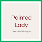 Painted Lady Logo