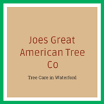 Joes Great American Tree Co Logo