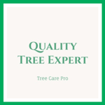 Quality Tree Expert Logo