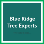 Blue Ridge Tree Experts Logo