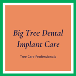 Big Tree Dental Implant Care Logo