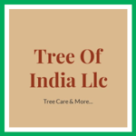 Tree Of India Llc Logo