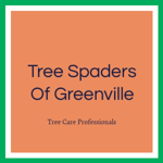 Tree Spaders Of Greenville Logo