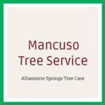 Mancuso Tree Service Logo
