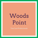 Woods Point Logo