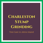 Charleston Stump Grinding Logo