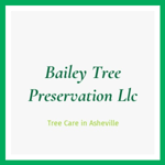 Bailey Tree Preservation Llc Logo