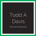 Todd A Davis Logo