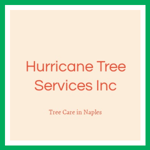 Hurricane Tree Services Inc Logo
