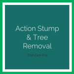 Action Stump &amp; Tree Removal Logo