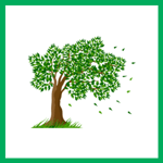 M And S Tree Removal Logo