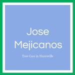 Jose Mejicanos Logo