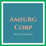 Amsurg Corp Logo