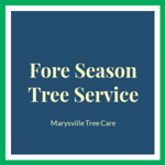 Fore Season Tree Service Logo
