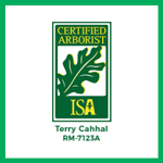 Aaa Trees Done Right Inc Logo