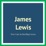 James Lewis Logo