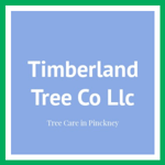 Timberland Tree Co Llc Logo
