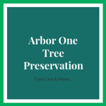 Arbor One Tree Preservation Logo