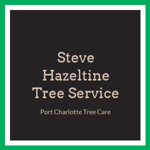 Steve Hazeltine Tree Service Logo