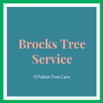 Brocks Tree Service Logo