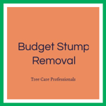Budget Stump Removal Logo