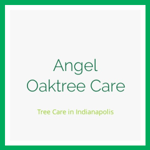 Angel Oaktree Care Logo