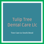 Tulip Tree Dental Care Llc Logo