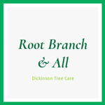 Root Branch & All Logo