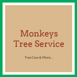 Monkeys Tree Service Logo