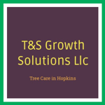 T&S Growth Solutions Llc Logo